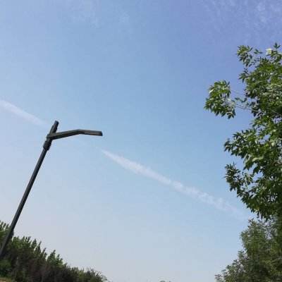 网易代号sk手游下载